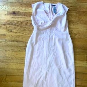 NWT Ann Taylor Pink Dress Size 8P